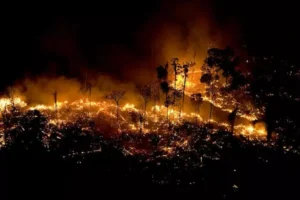 “A MAIOR AMEAÇA À AMAZÔNIA NO SÉCULO: INCÊNDIOS INCONTROLÁVEIS SOB GESTÃO DE MARINA SILVA!”